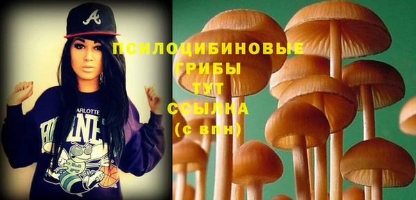 синтетический гашиш Вяземский