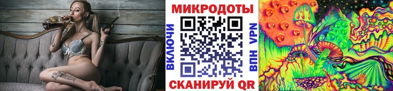 Галлюциногенные грибы Psilocybe mega tor Белокуриха где купить наркоту